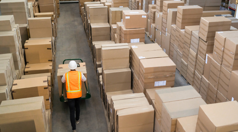 Project Exhibition Goods